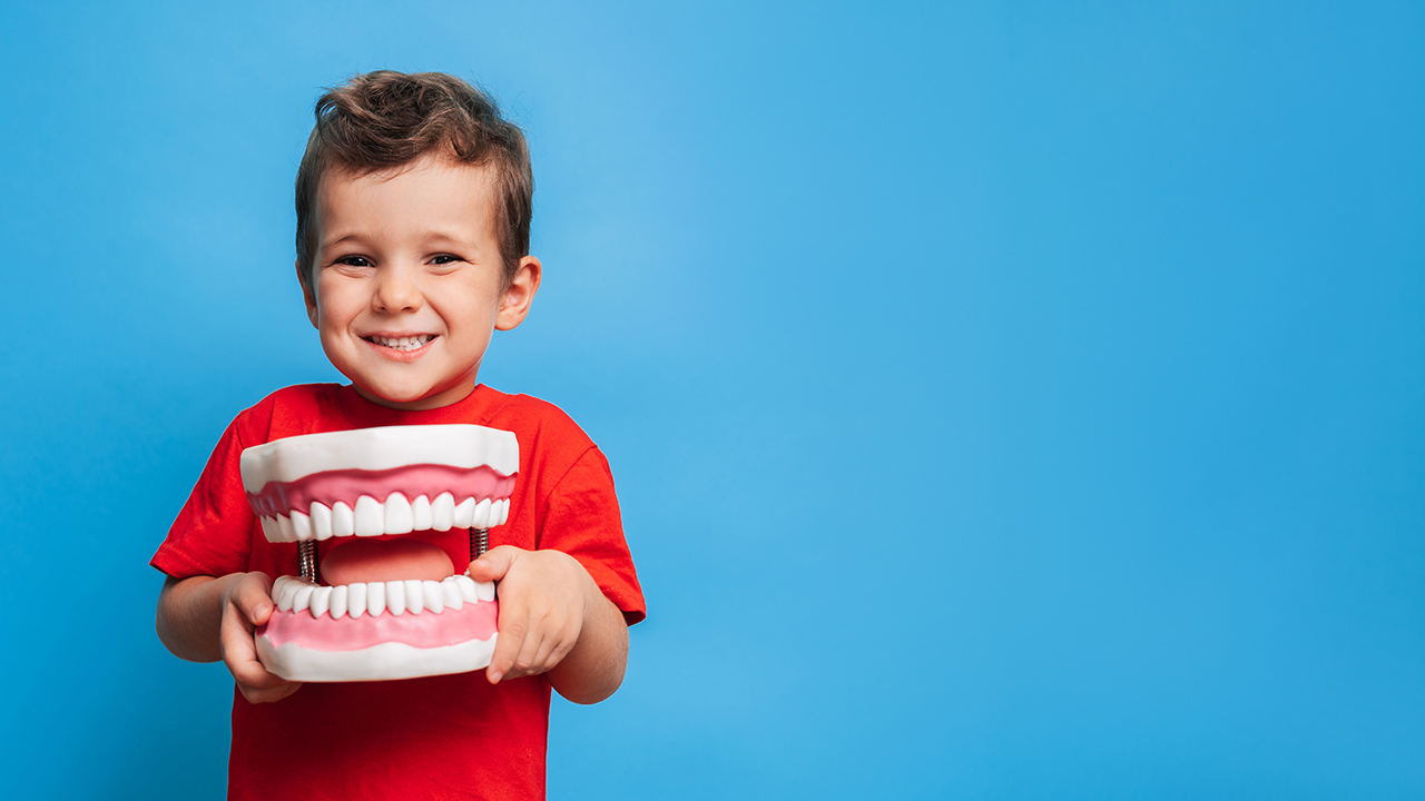 Pedodontics (Pediatric Dentistry)